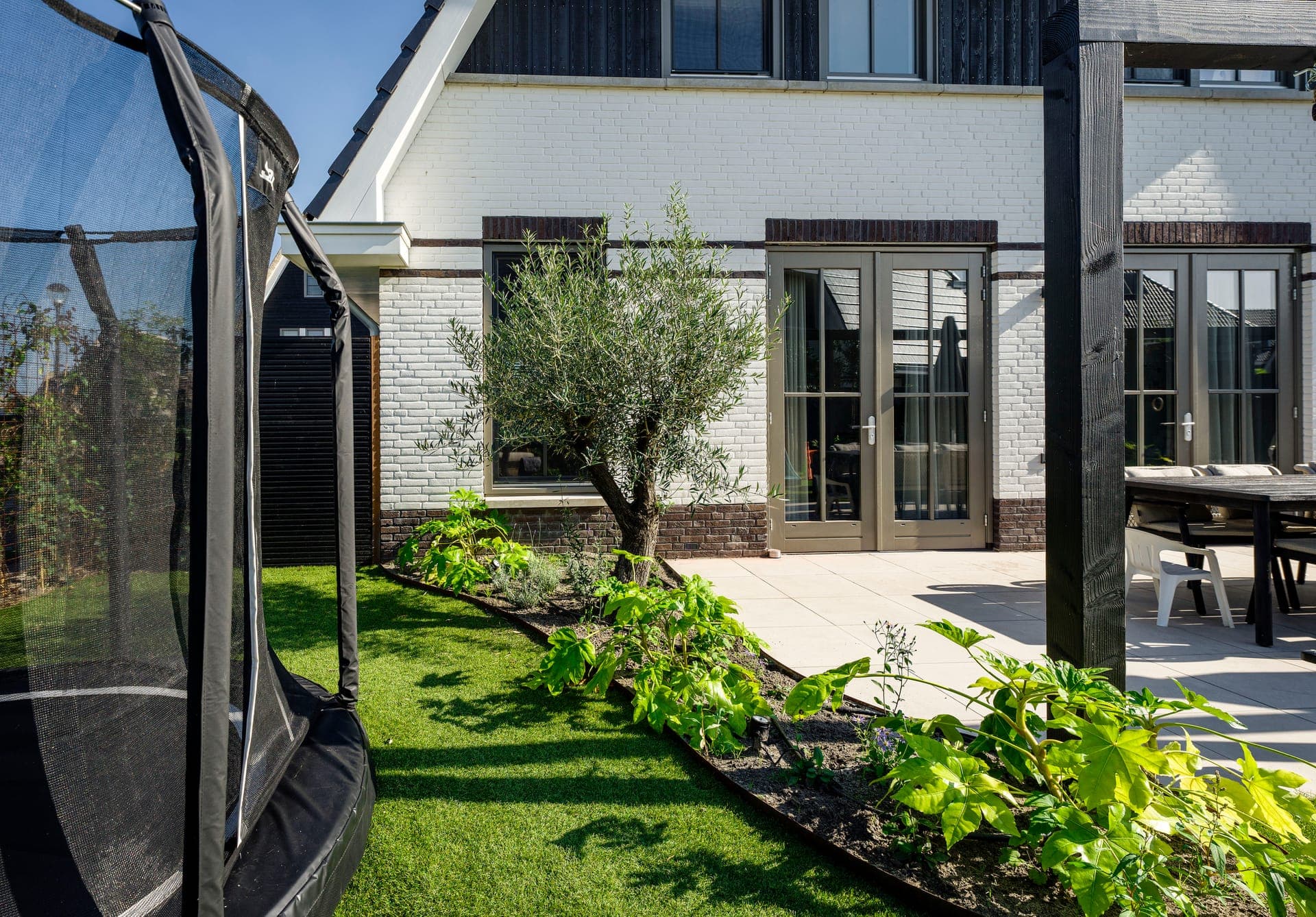 Tuinhoek met trampoline en olijfboom in het plantvak