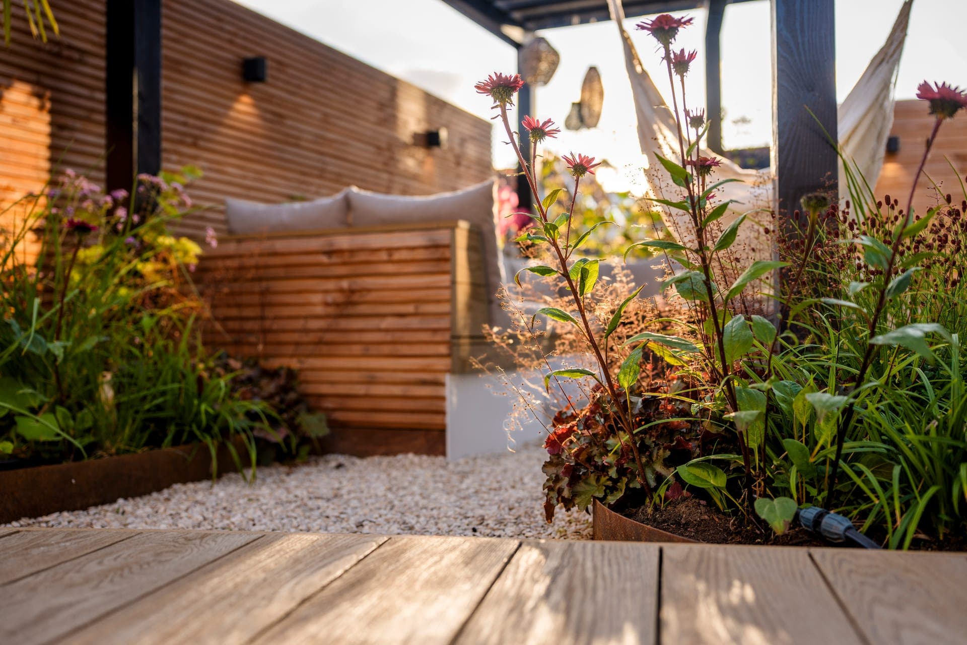 Lage hoek door de beplanting met echinacea