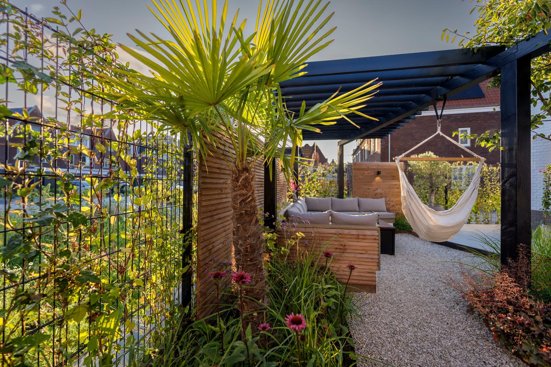 Palmboom naast de zwarte pergola met hangmat