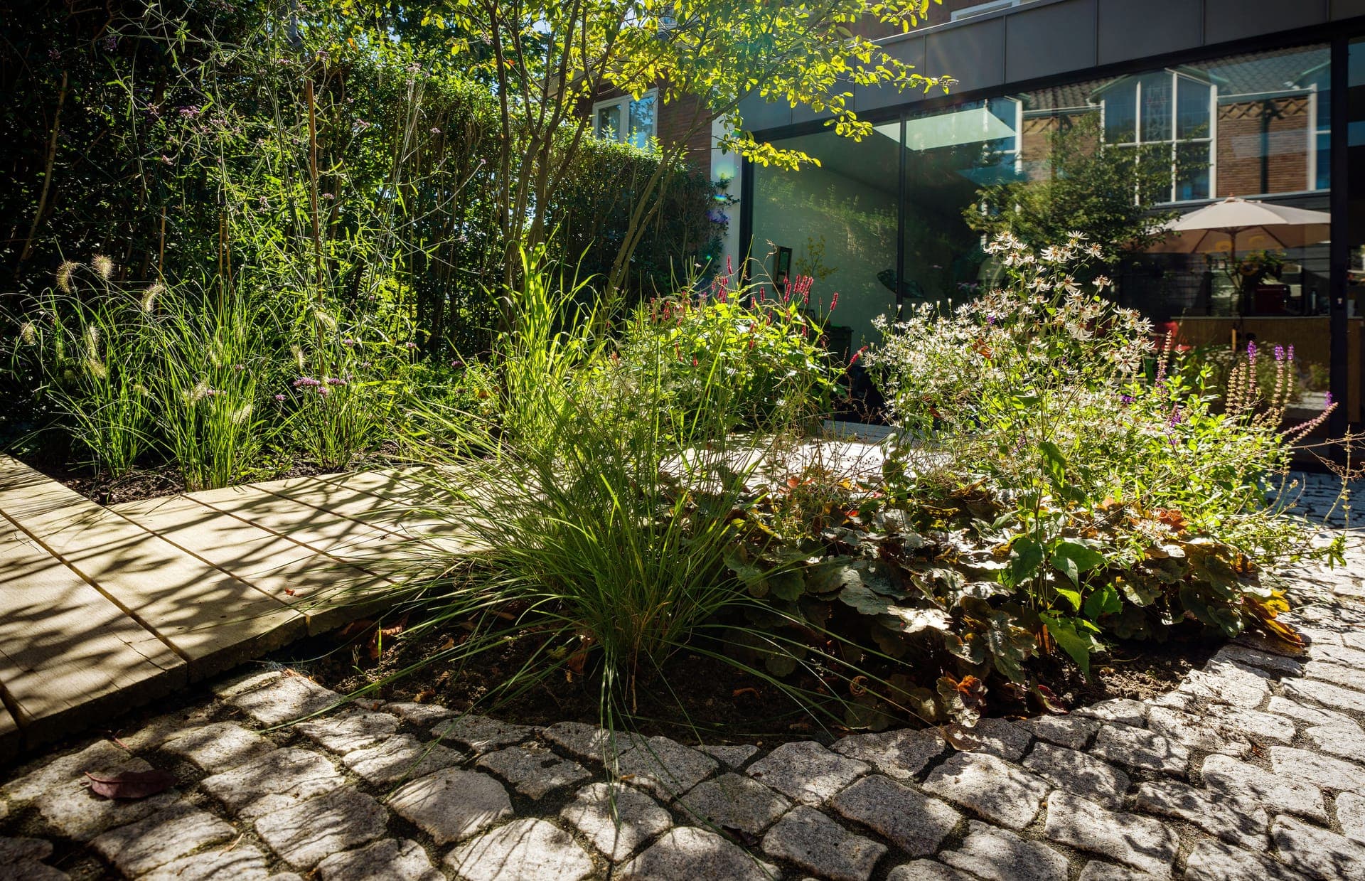 Lush border with ornamental grasses and perennials along a cobblestone path